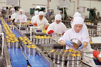 安徽省淮北市凤凰山食品工业园贝宝食品公司全力投入黄桃罐头加工生产